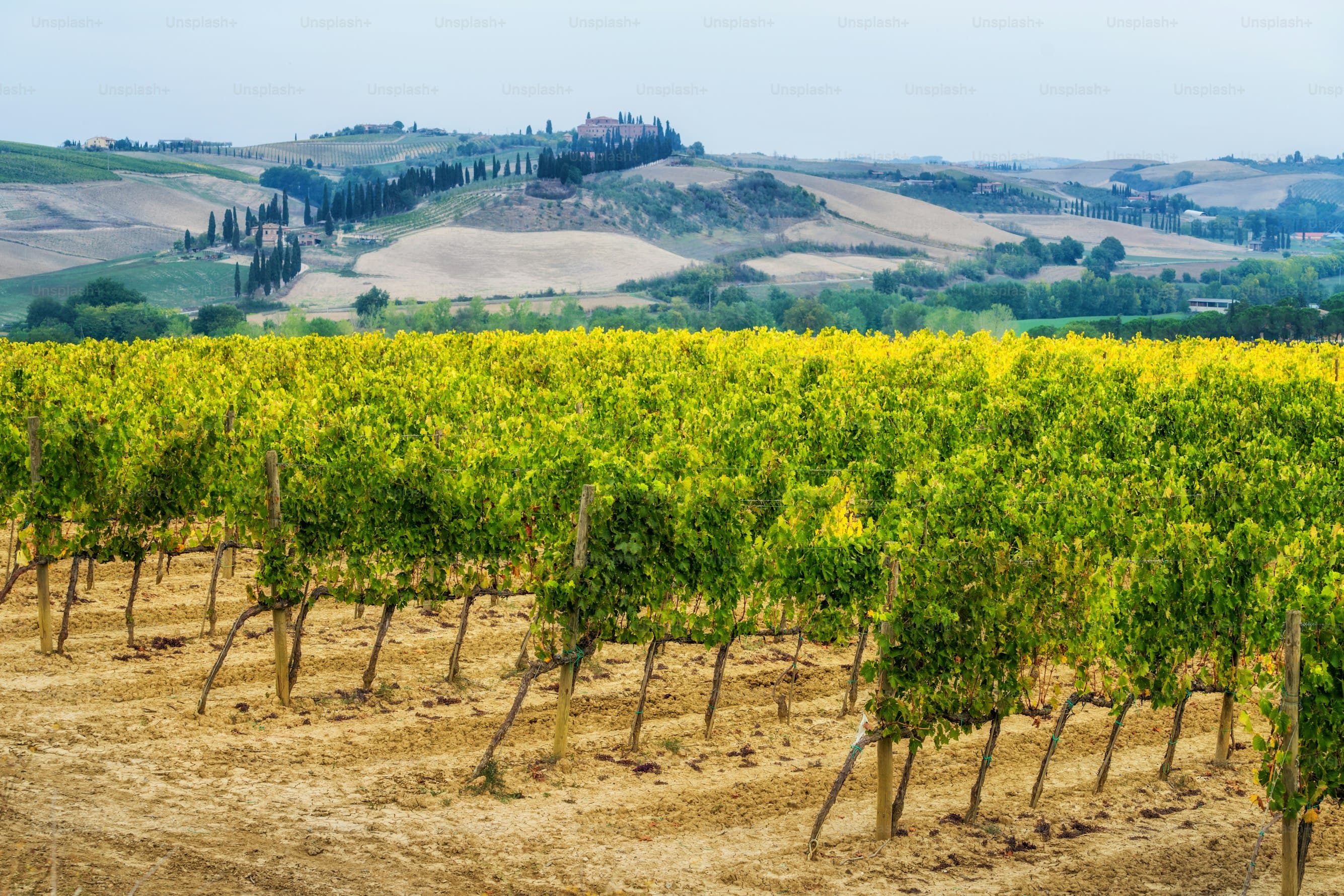 Wine Country Girls' Getaway