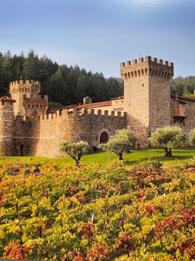Wine Tasting at Castello di Amorosa