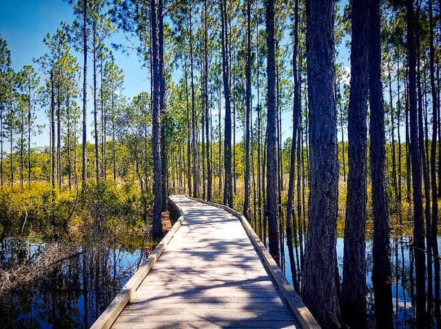 Nature Walk at Conservation Park
