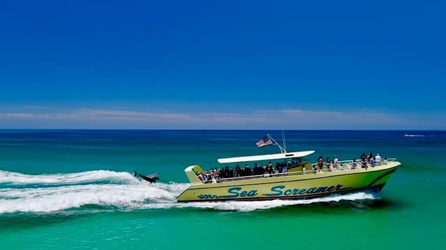 Thrilling Adventure at Sea Screamer
