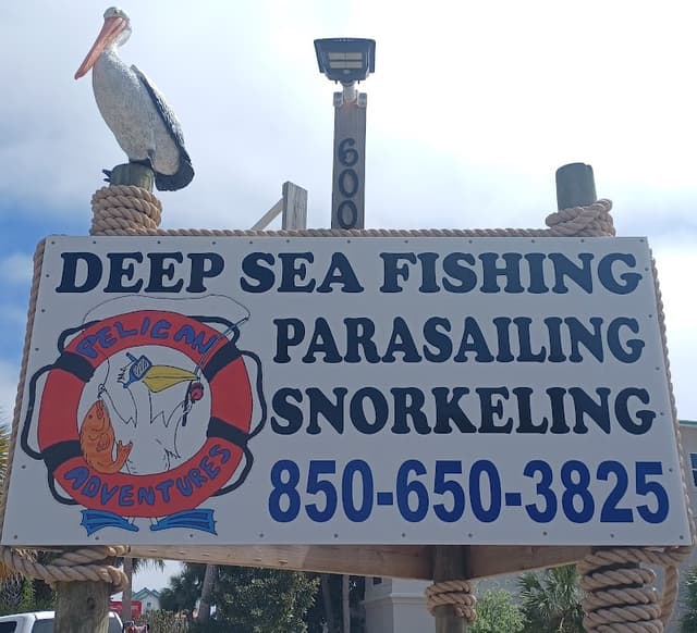 Pelican Adventures
